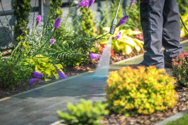 Best Driveway Pressure Washing  in Kailua, HI